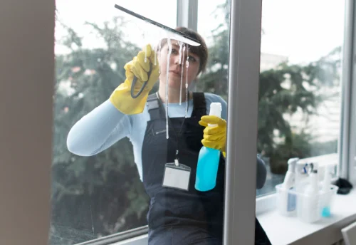 Nettoyage de vitres intérieures et extérieures à Fleury-la-Montagne